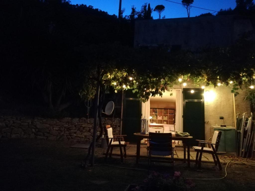 Vonkajšia záhrada v ubytovaní Ariadimare guest house