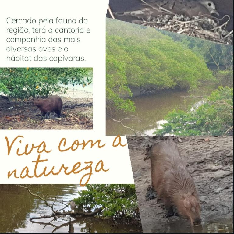  Perequê Paradise - Meia praia/Itapema