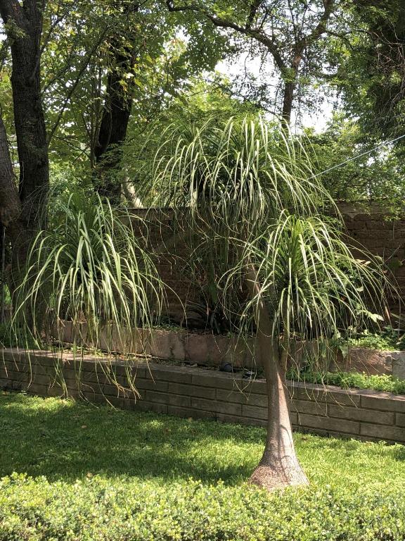 Zahrada ubytování Casa del Retoño