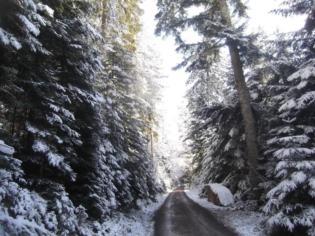 Schwarzwald-Gasthof Hirsch v zimě