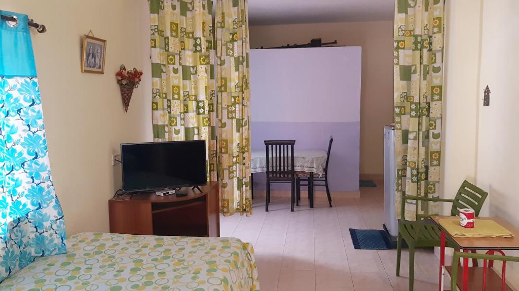 TV a/nebo společenská místnost v ubytování Noel Guest House