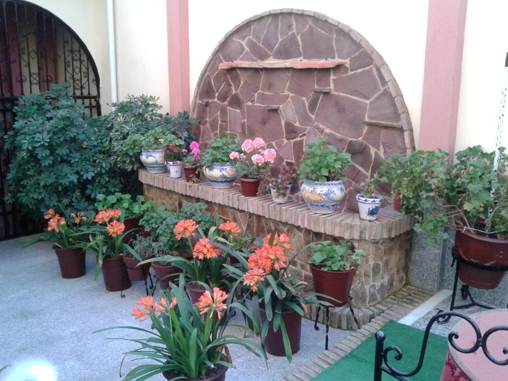 Maximiano Herculeo - Resim 20