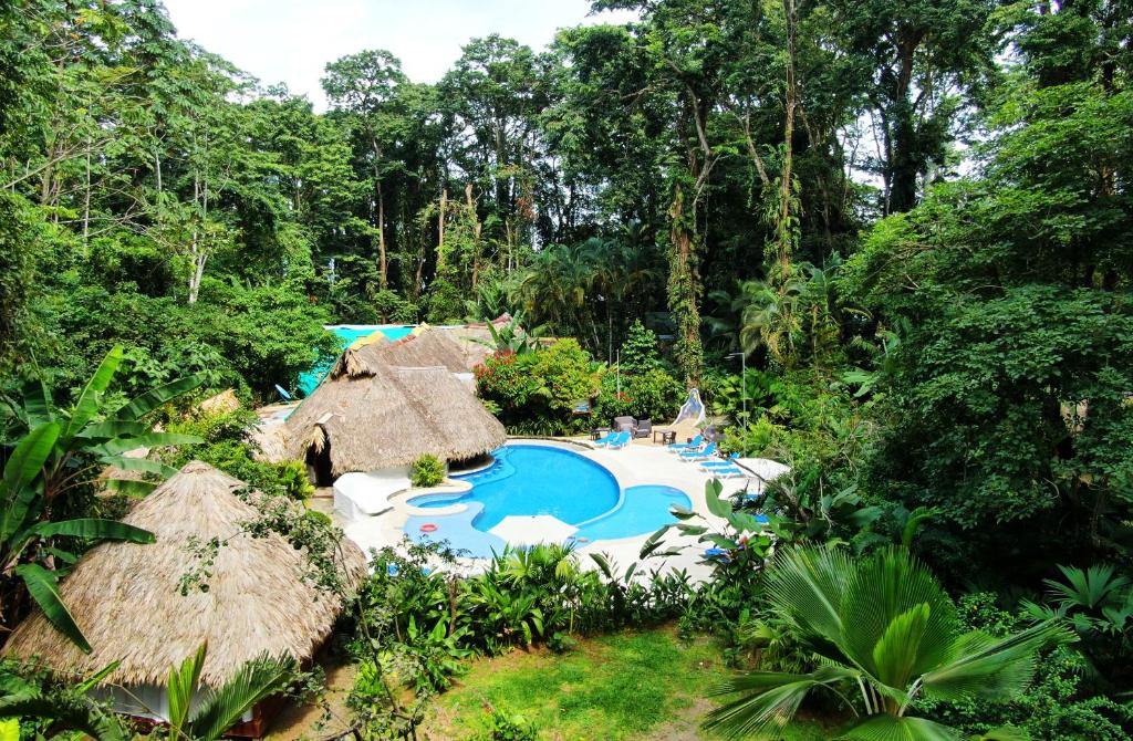 a resort with a swimming pool in the woods at Cariblue Beach and Jungle Resort in Puerto Viejo