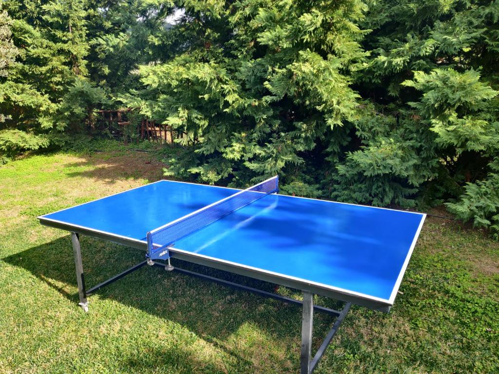Tenis stołowy w obiekcie Aliki Serenity Cottage lub pobliżu