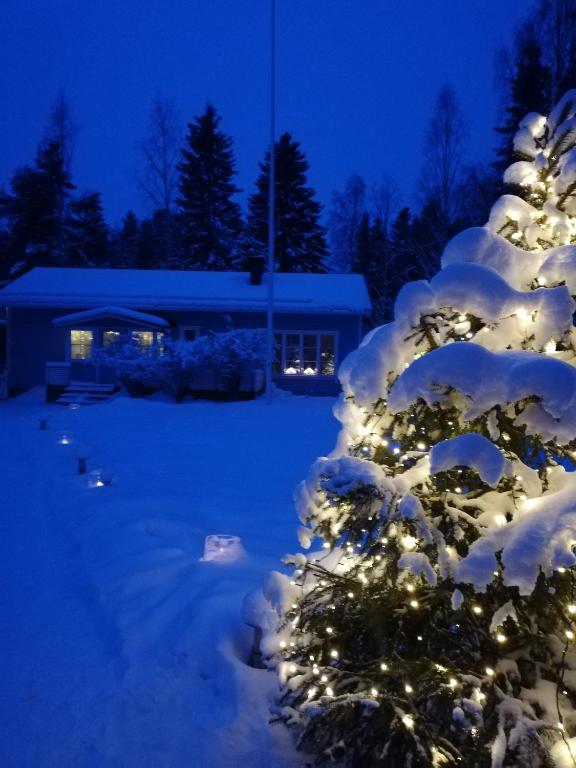 Arctic Circle Tranquillity photo