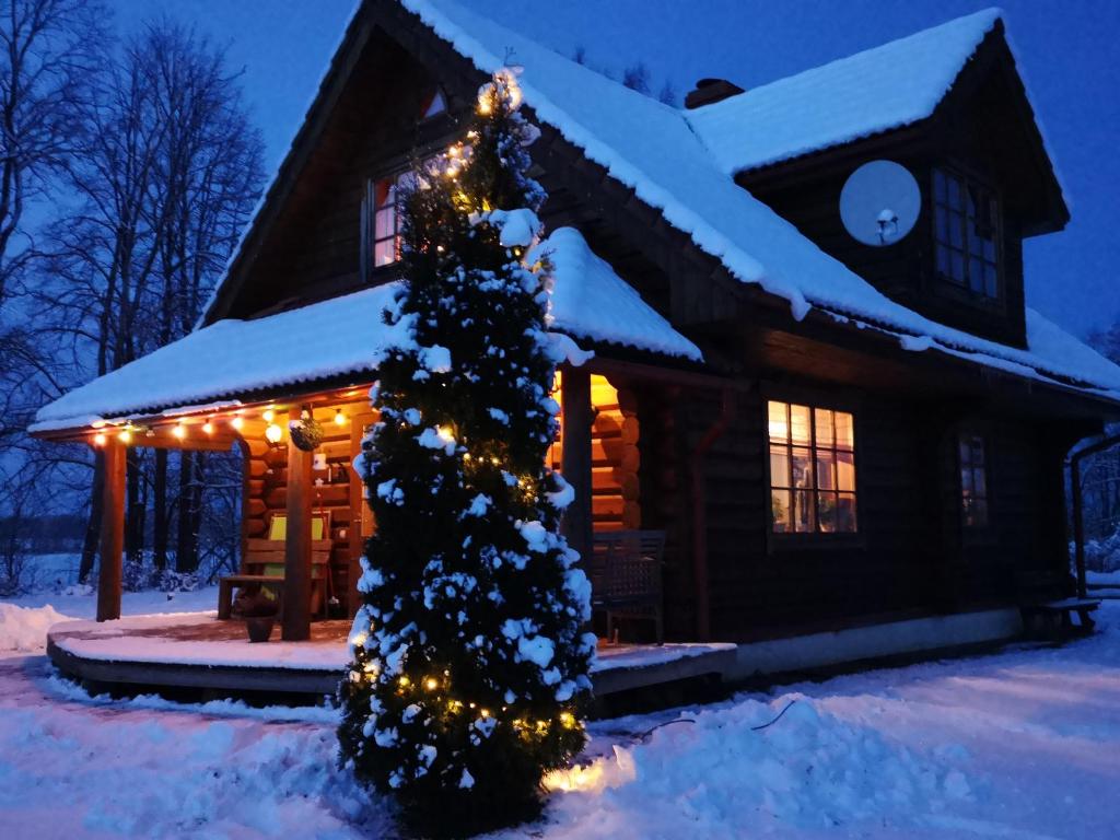 DvīņuMājas v zimě