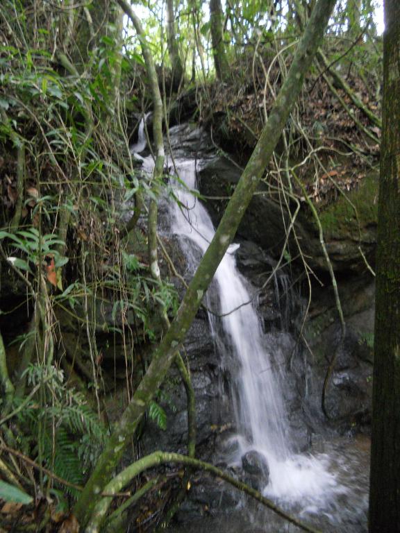  Chalés Serrinha do Papagaio