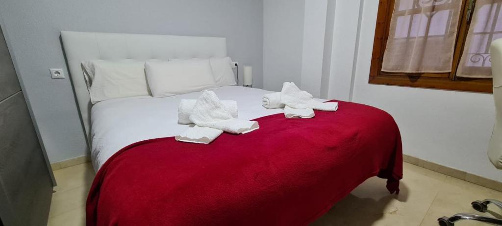 Casa Puerta de la Victoria - 9