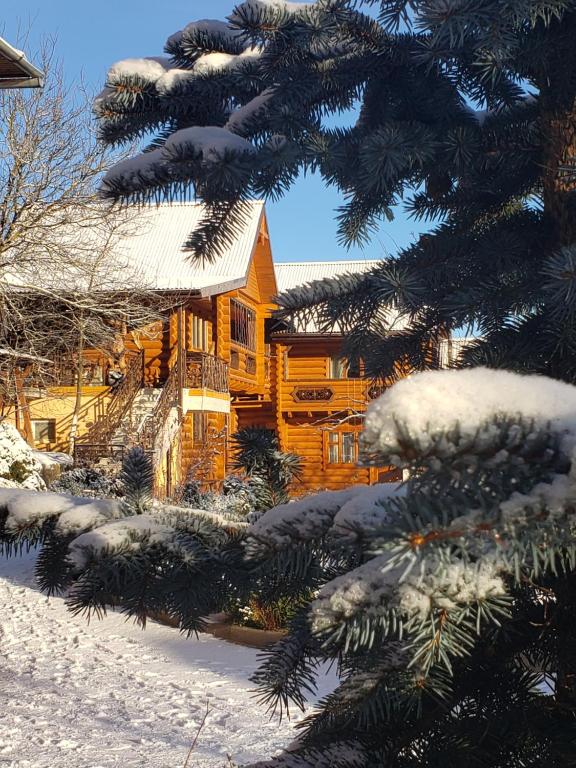 a log cabin in the snow with a christmas tree at Sadyba Medova nasoloda in Guta