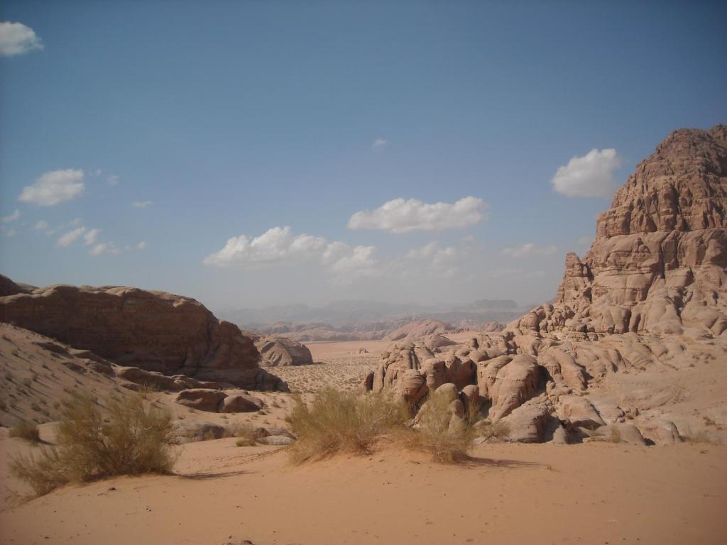 a view of a desert with rocks and bushes at Bedouin House Camp in Wadi Rum