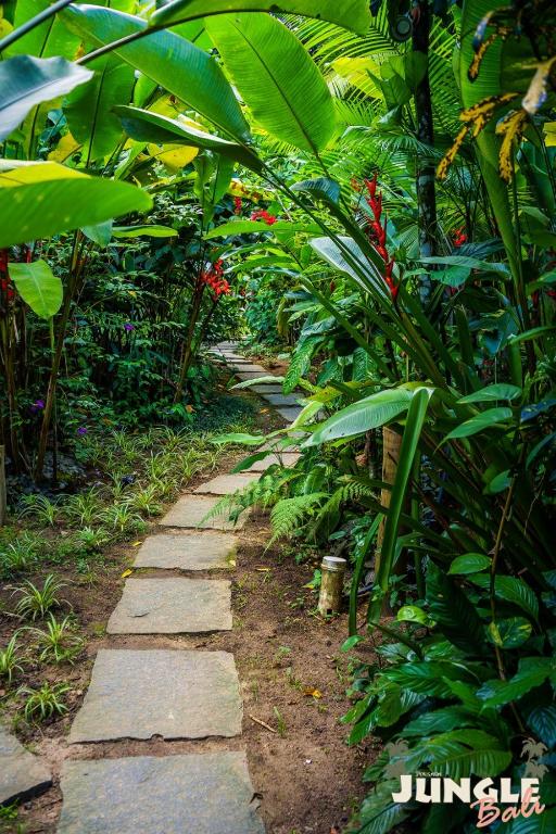  Pousada Jungle Bali