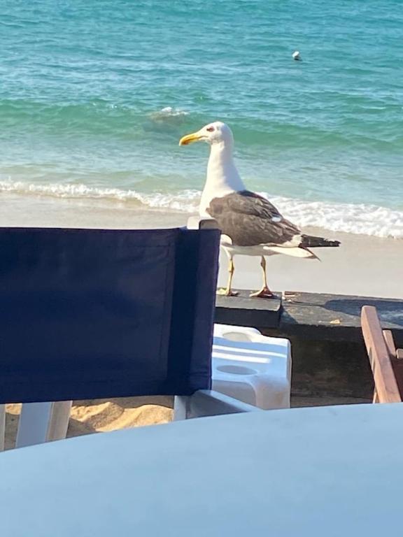  Conforto de casa com a qualidade de um bom hotel.
