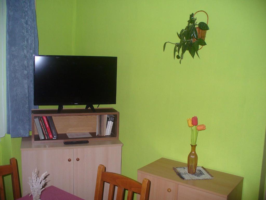 Televízia a/alebo spoločenská miestnosť v ubytovaní Pleiveisz Apartman