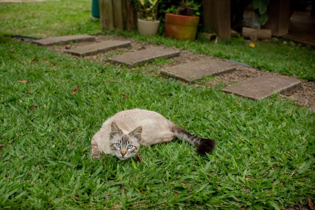  Pousada Cabanas Kaia Lua