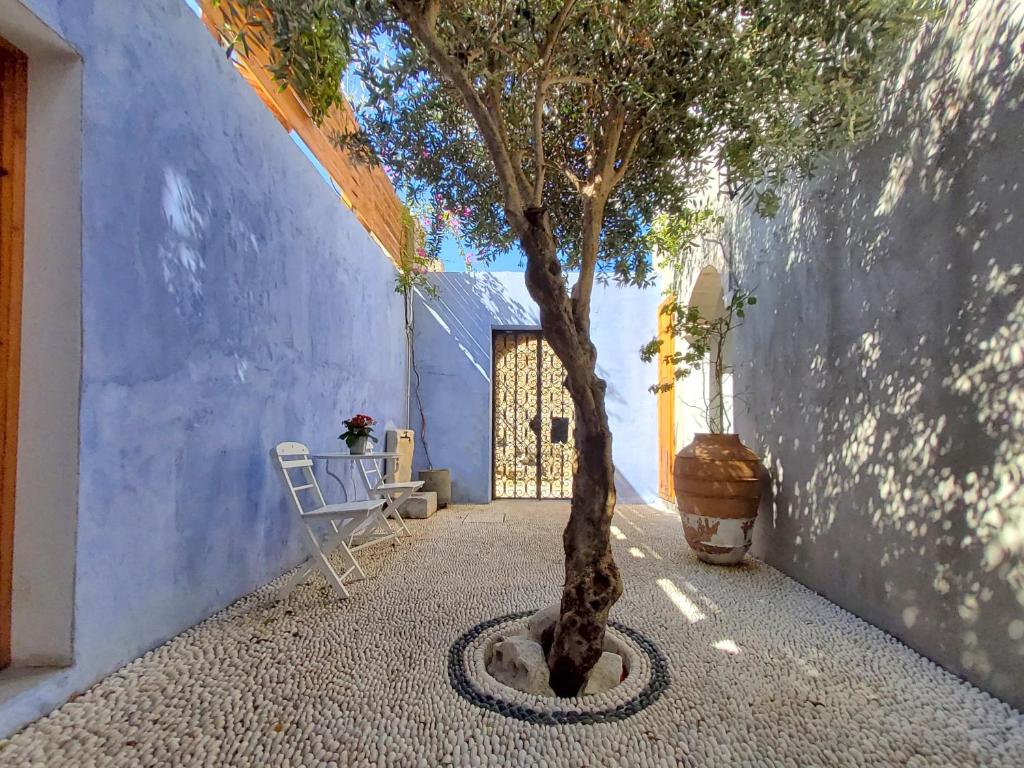 a tree in a courtyard next to a wall at St. George Studios in Rhodes Town