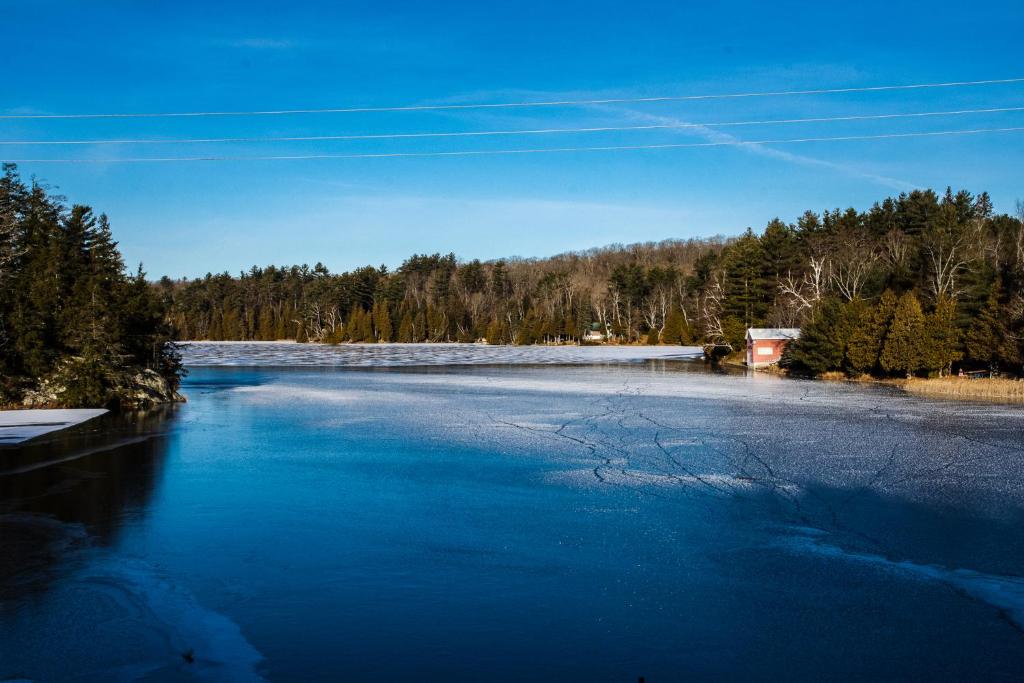 Příroda nedaleko chaty