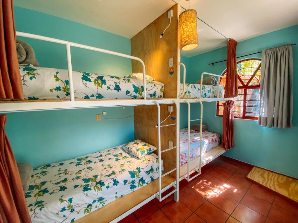 Azul Cielo Hostel - Bed In 4-Bed Female Dormitory Room