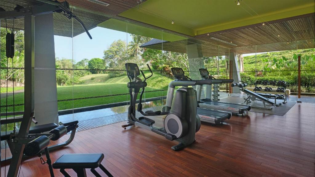 Fitness centrum a/nebo fitness zařízení v ubytování Maya Ubud Resort & Spa