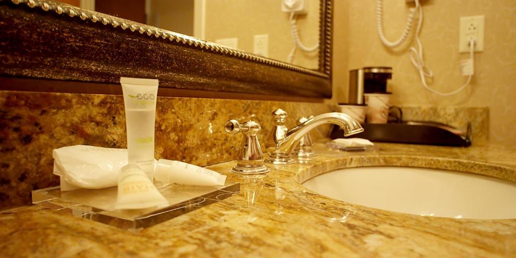 Koupelna v ubytování Hotel Executive Suites