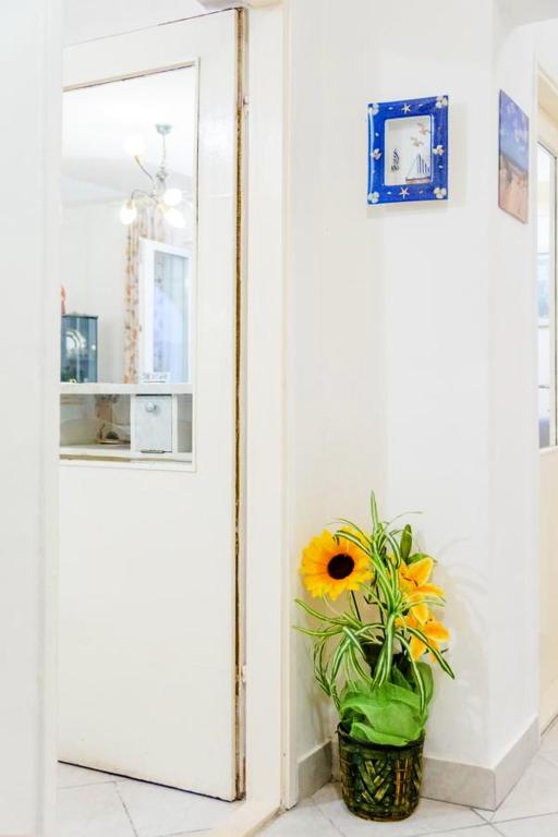 Fotografia z galérie ubytovania Charming apartment with private pool in Mastrinka - 98 sqm v Trogiri