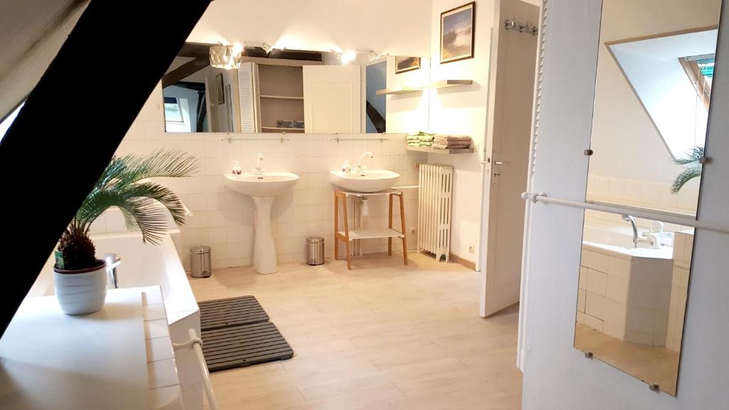 a bathroom with two sinks and two mirrors at Demeure de 6 chambres avec piscine interieure jacuzzi et jardin clos a Vernou sur Brenne in Vernou-sur-Brenne