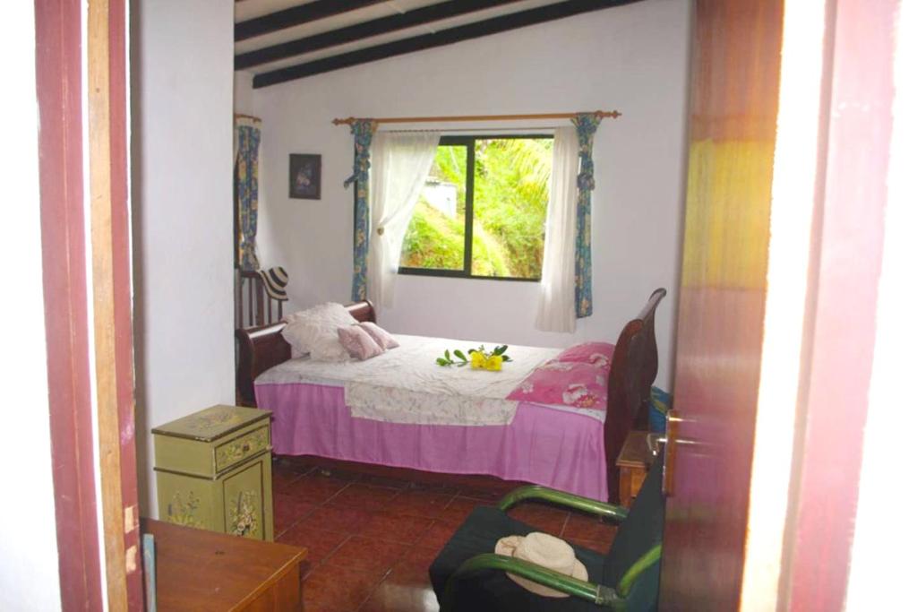 a small bedroom with a bed and a window at Charming house in Victoria with mountain view in Victoria
