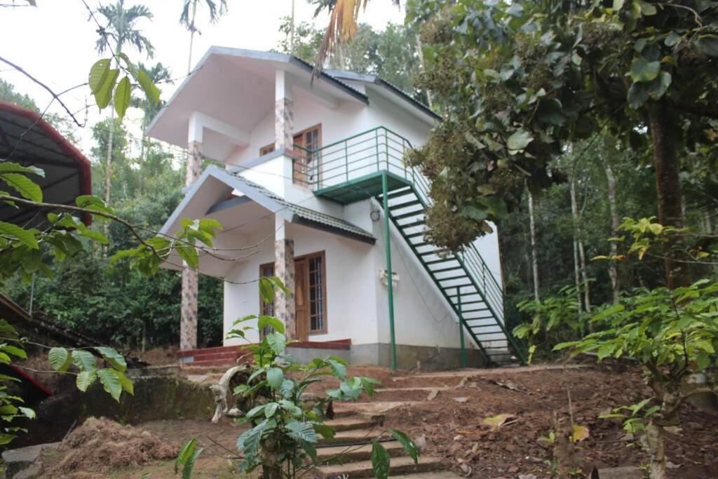 uma pequena casa no meio de uma floresta em Wayal Wayanad Twin Villa em Panamaram