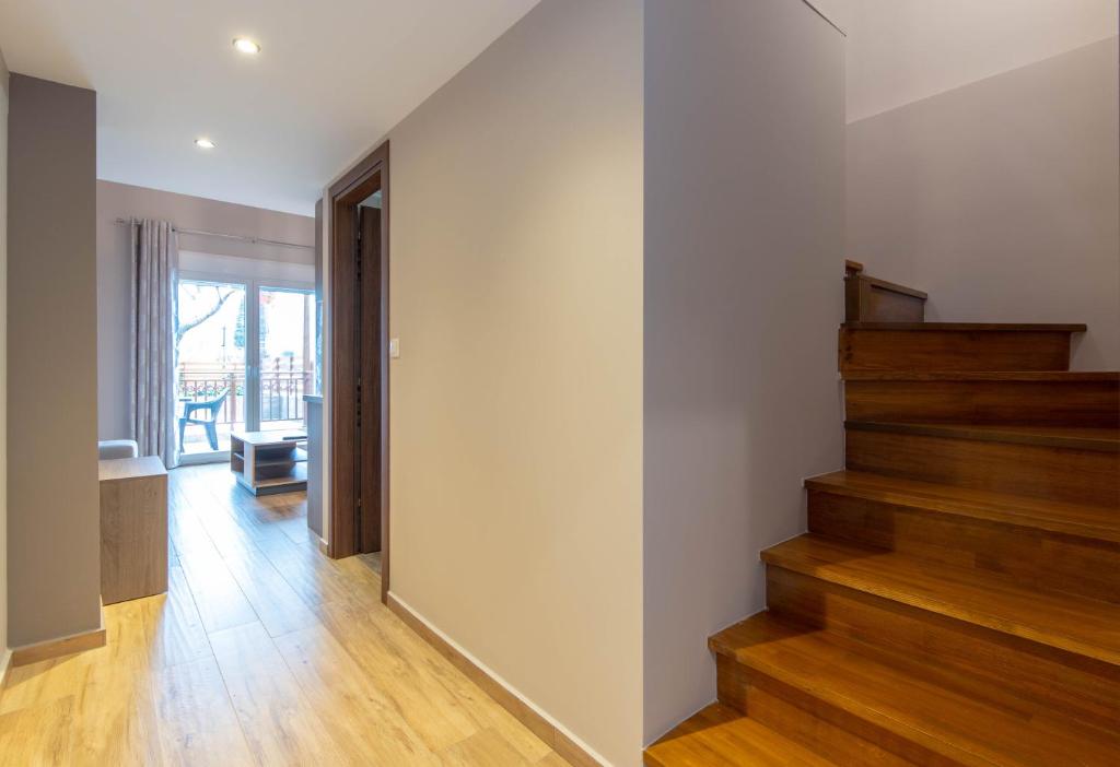 Amaryllis Maison Hili - 6