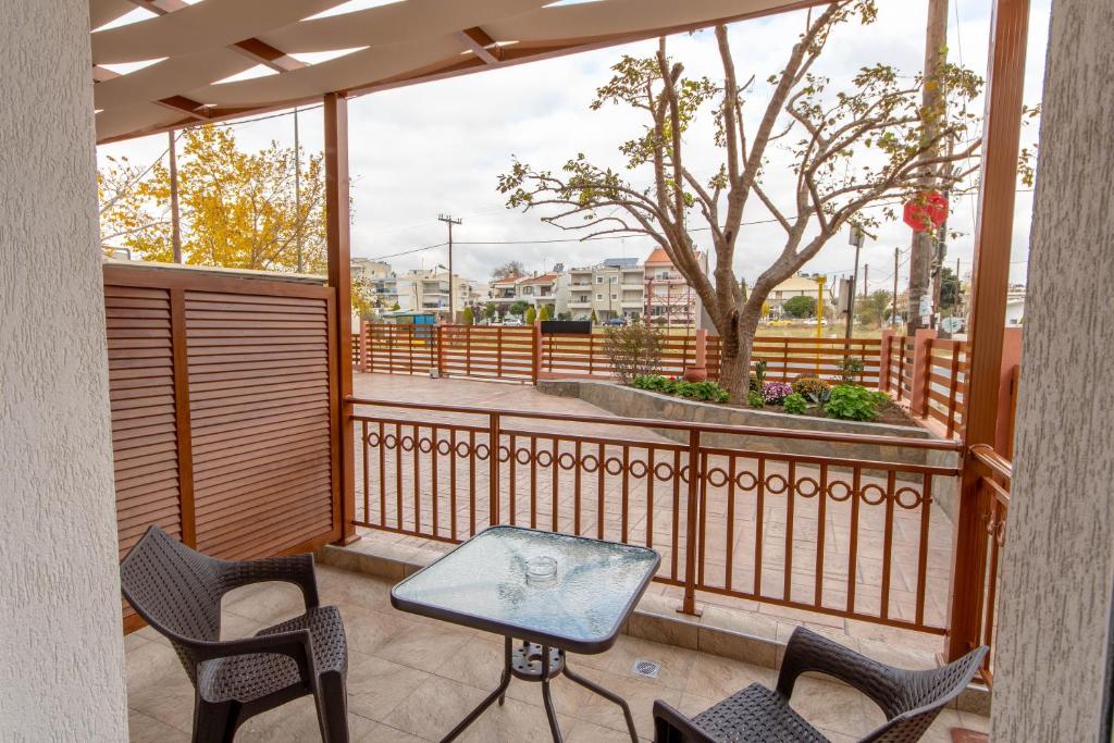 Amaryllis Maison Hili - 5