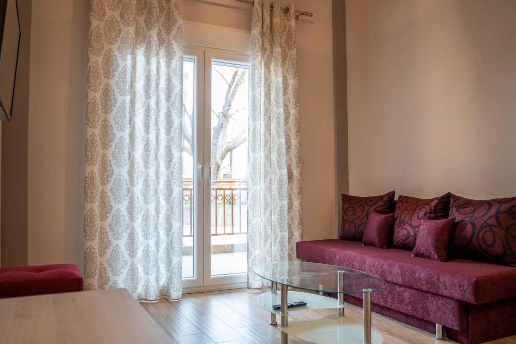 Amaryllis Maison Hili - 14