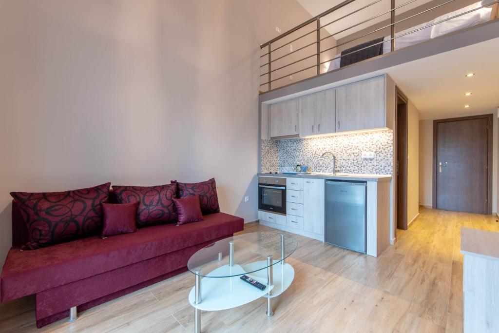 Amaryllis Maison Hili - 19