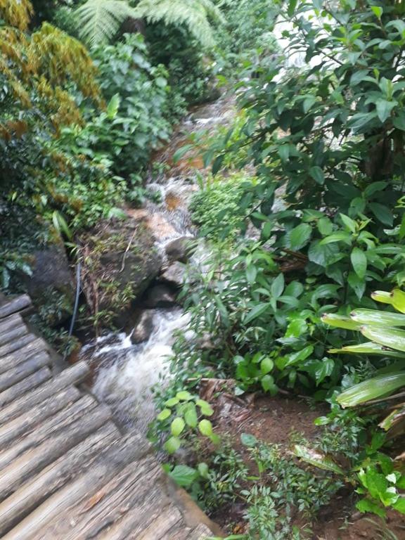  Casa de Campo - Vale das Videiras - Petrópolis RJ