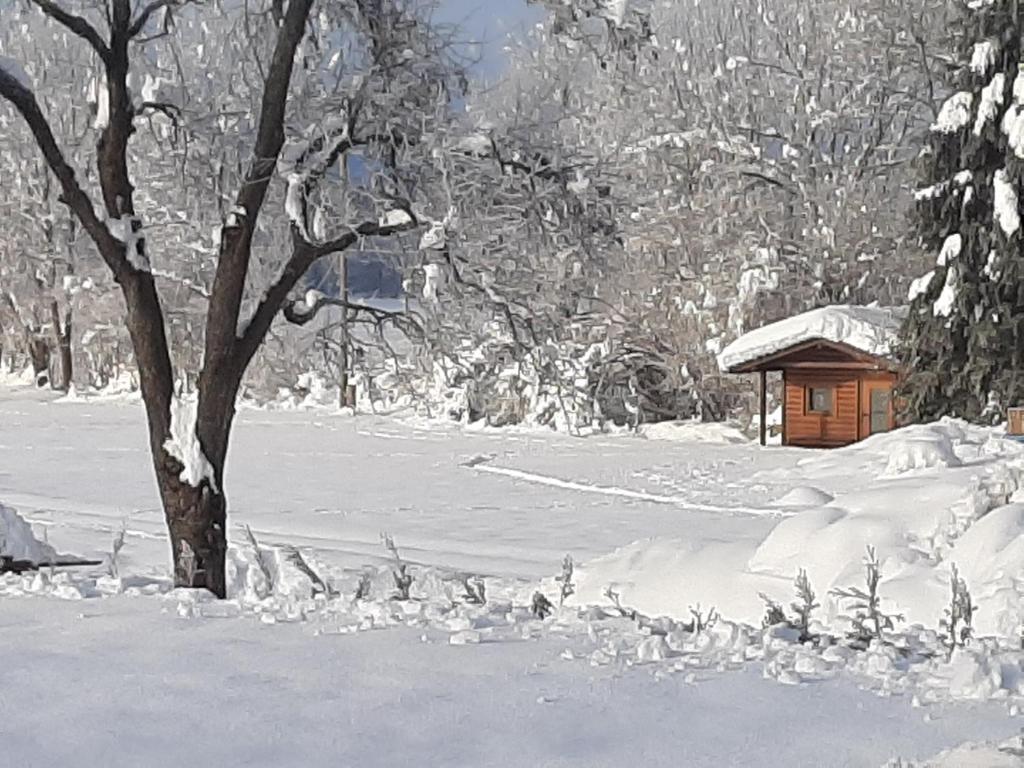 Alpenlodge Kirchbach v zimě