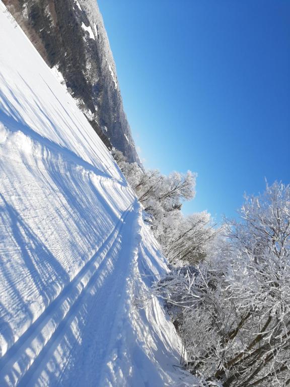 Alpenlodge Kirchbach v zimě