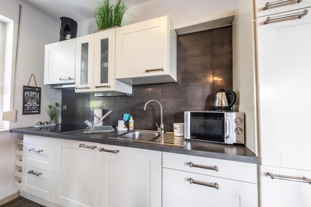 Kuchnia lub aneks kuchenny w obiekcie Victus Apartamenty, Apartament Bella