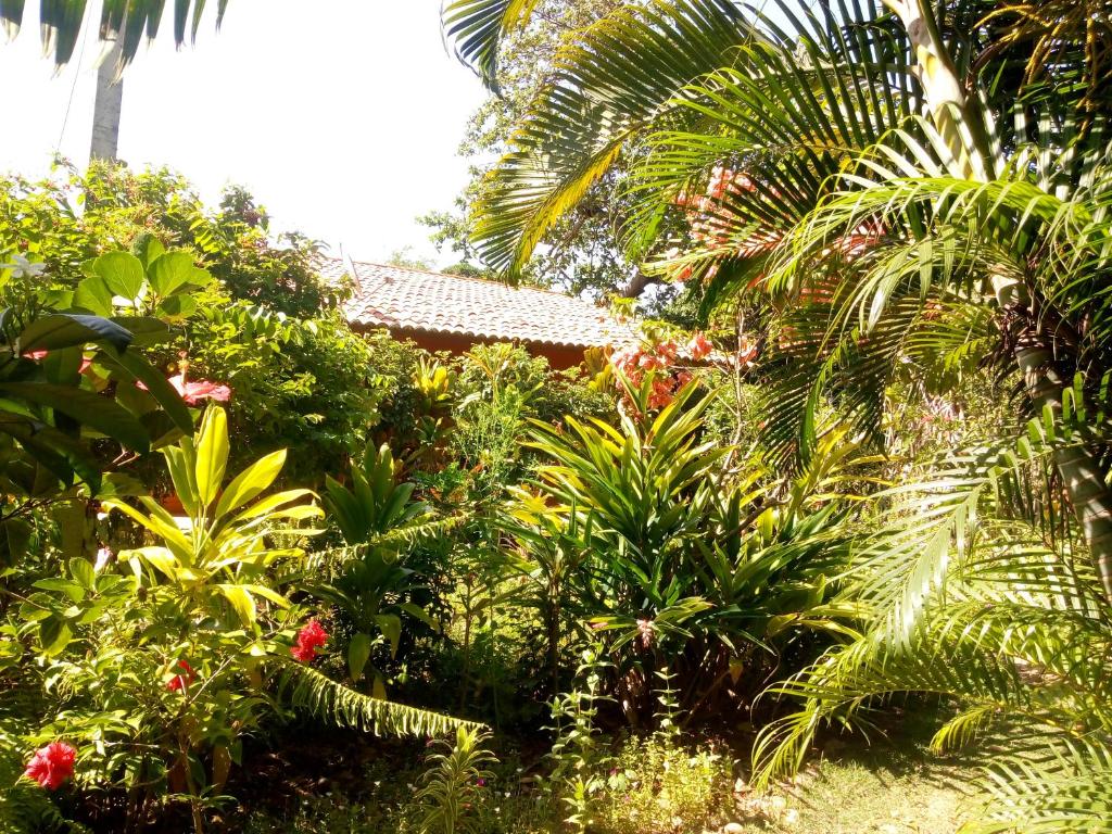  Casa Pipa