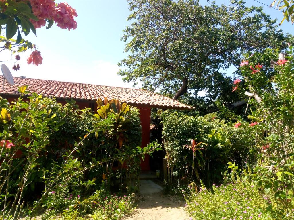  Casa Pipa