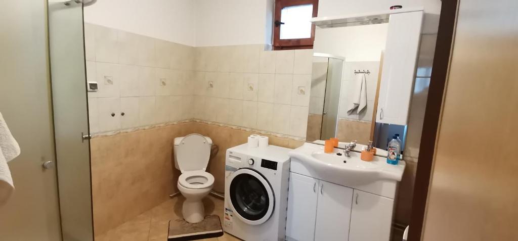a bathroom with a washing machine and a sink at Casa Sara in Săcele