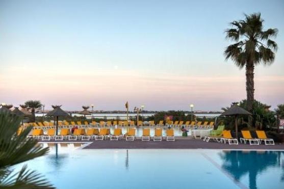 une grande piscine avec des chaises et un palmier dans l'établissement Mobil home LAC DES REVES, à Lattes