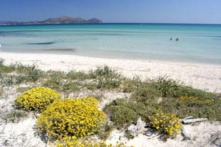 Apartment Alcudia Ocean View, Alcudia – Updated 2022 Prices