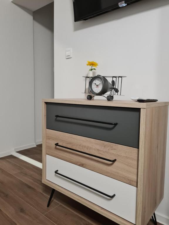 Boutique Apartments Nikola Tesla - 5