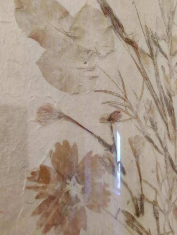 Zdjęcie z galerii obiektu Wow Home - 175 mq - posteggio privato - davanti porto traghetti - fino a 10 posti letto w Genui
