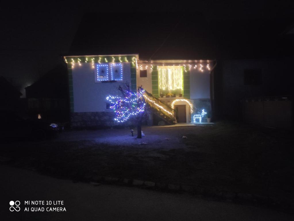 una casa con un árbol de Navidad y luces en ella en privatno117, en Lúčky