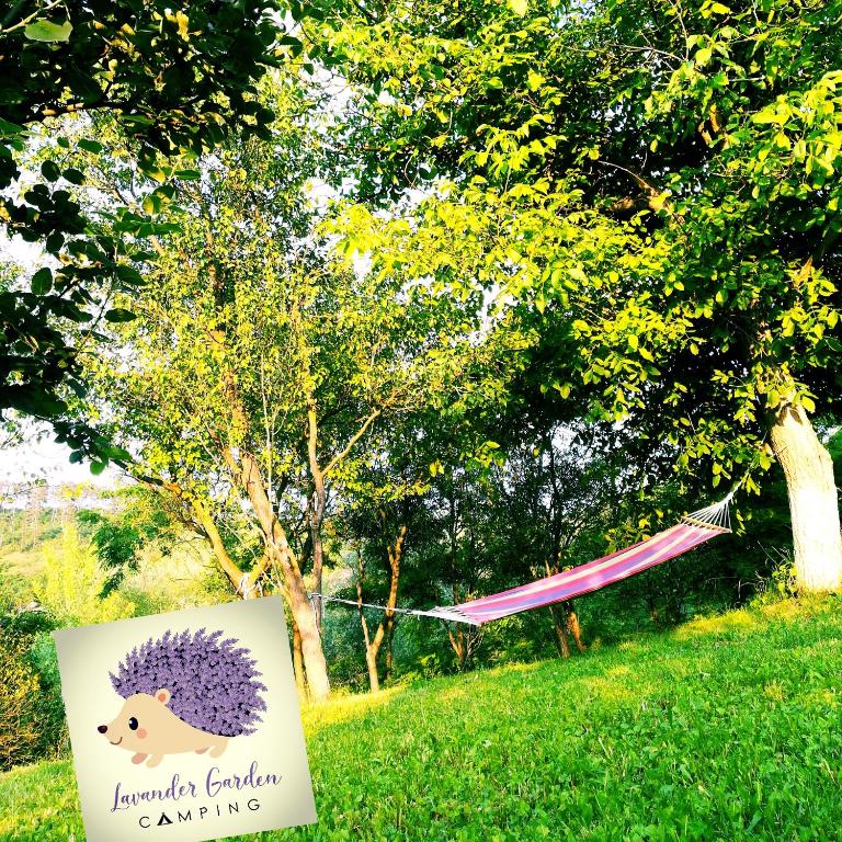 a sign in a field with a hedgehog and a hammock at Lavander Garden in Răscruci