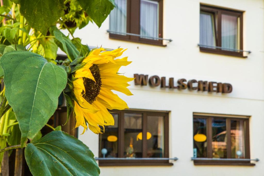 Foto da galeria de Gasthaus Wollscheid em Trier