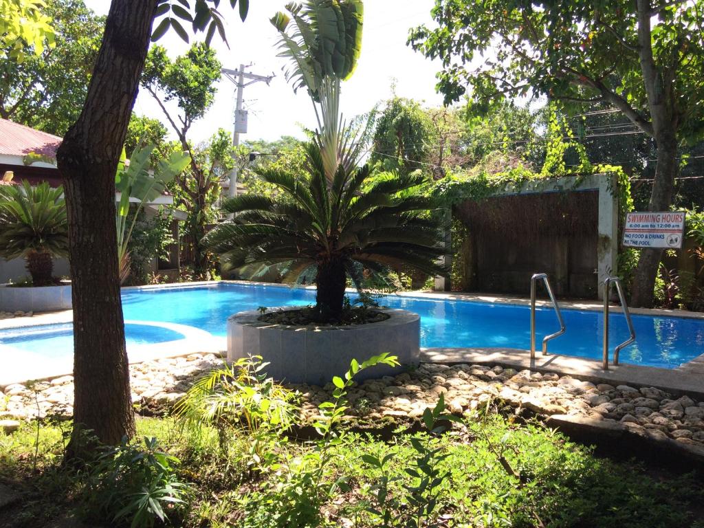 a palm tree sitting next to a swimming pool at The Pelicans Resort in Batangas City