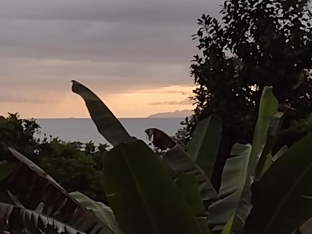  Suítes Natureza Vista Linda