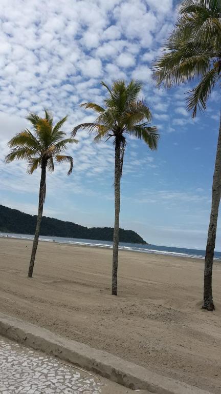 dos palmeras sentadas en una playa de arena en Amanhecer do sol, en São Paulo