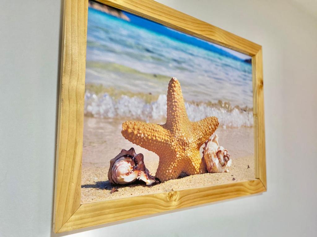 Caribbean Venture Apto 803 - Rodadero, Santa Marta