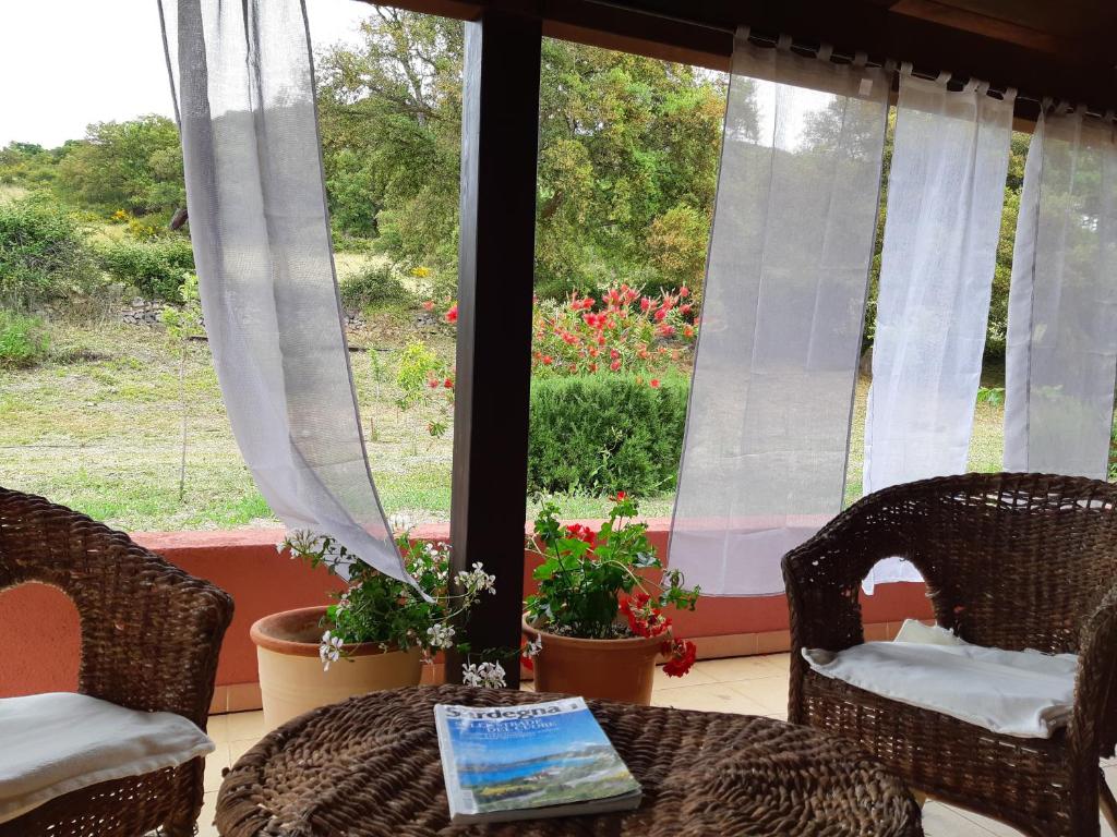 Ogród w obiekcie Laurus Jacuzzi villa Alghero Valverde 122